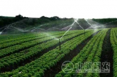 平安水肥一体化专业技术公司