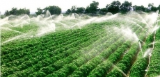 平安水肥一体化技术公司