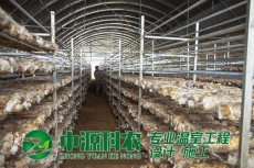 平安滁州市食用菌温室大棚公司